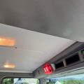 SCANIA P320 EURO 6