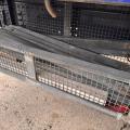 DAF CF 410 EURO 6