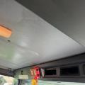 SCANIA P320 EURO 6