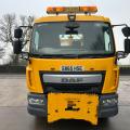 DAF LF 220 EURO 6 14T