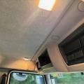 DAF LF 220 EURO 6 (Hook loader)