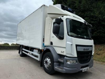 DAF LF 230 EURO 6 15T