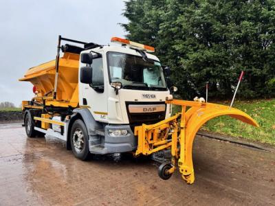 DAF LF 220 EURO 6 (Hook loader)