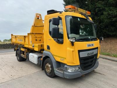 DAF LF 220 EURO 6 12T