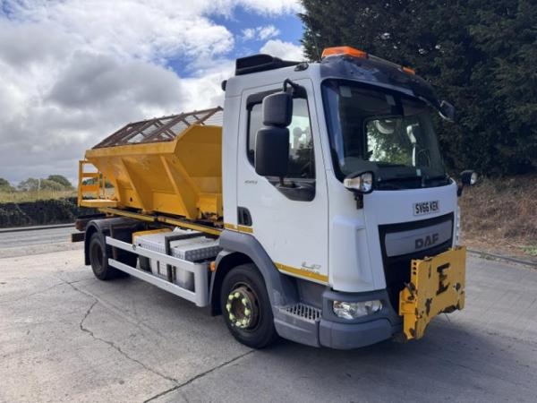 DAF LF 220 EURO 6 12T